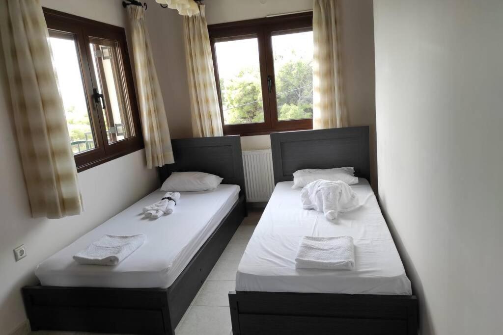 Вилла Artemis Penthouse 10 Minute From National Airport Экстерьер фото