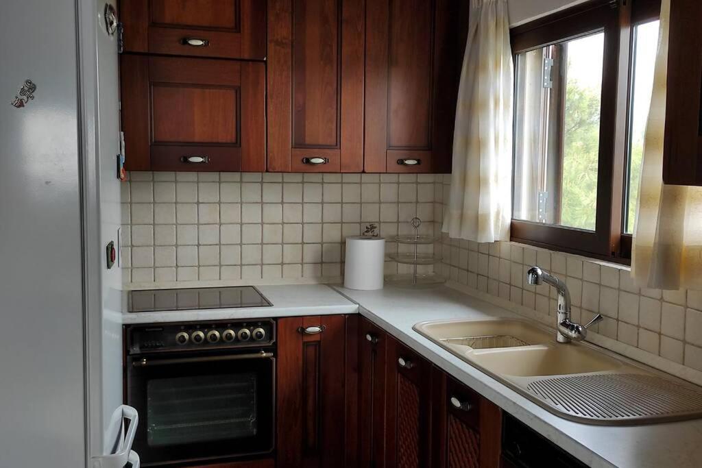 Вилла Artemis Penthouse 10 Minute From National Airport Экстерьер фото